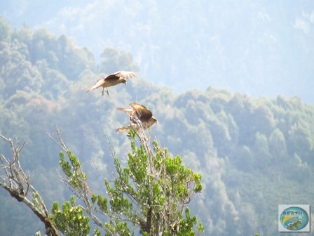 Fotos da pesca esportiva em Chaiten no Chile